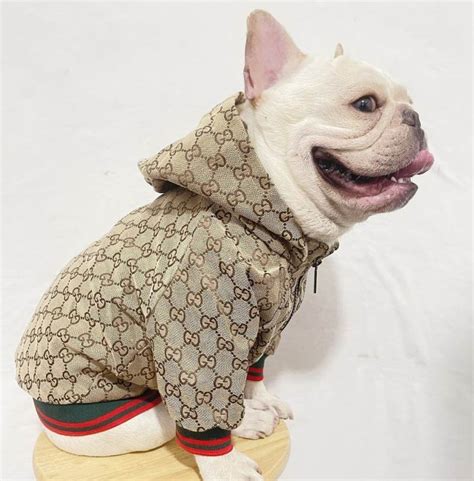 gucci dog clothing|luxury designer dog clothes.